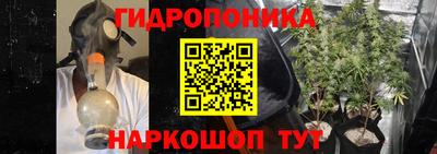 хмурый Свободный