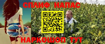 тгк Севастополь