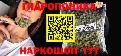 хмурый Свободный