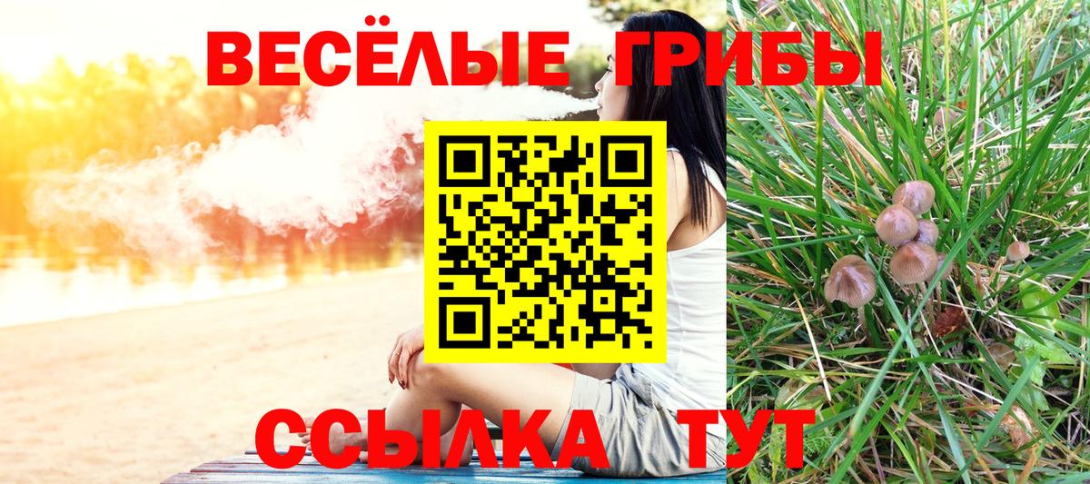 Нягань  закладка  Вход с VPN  Псилоцибиновые грибы ЛСД 